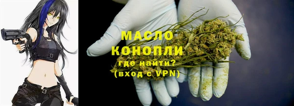 индика Арсеньев