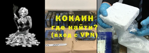 индика Арсеньев