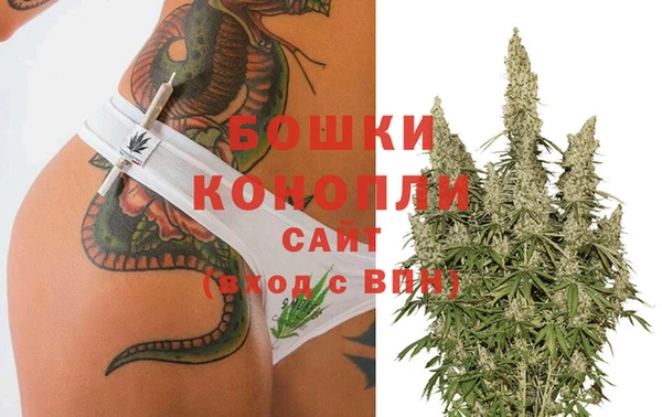 индика Арсеньев