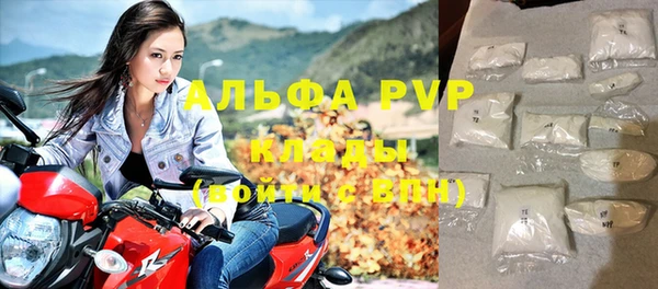 индика Арсеньев