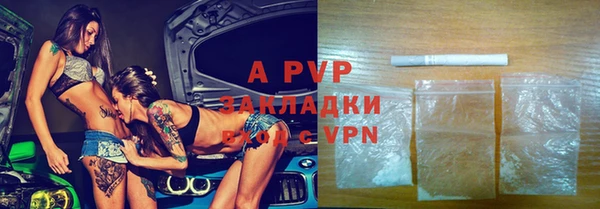 индика Арсеньев